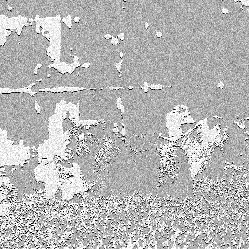 Capybara next to a pond