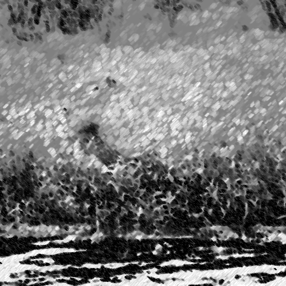Capybara in wetlands